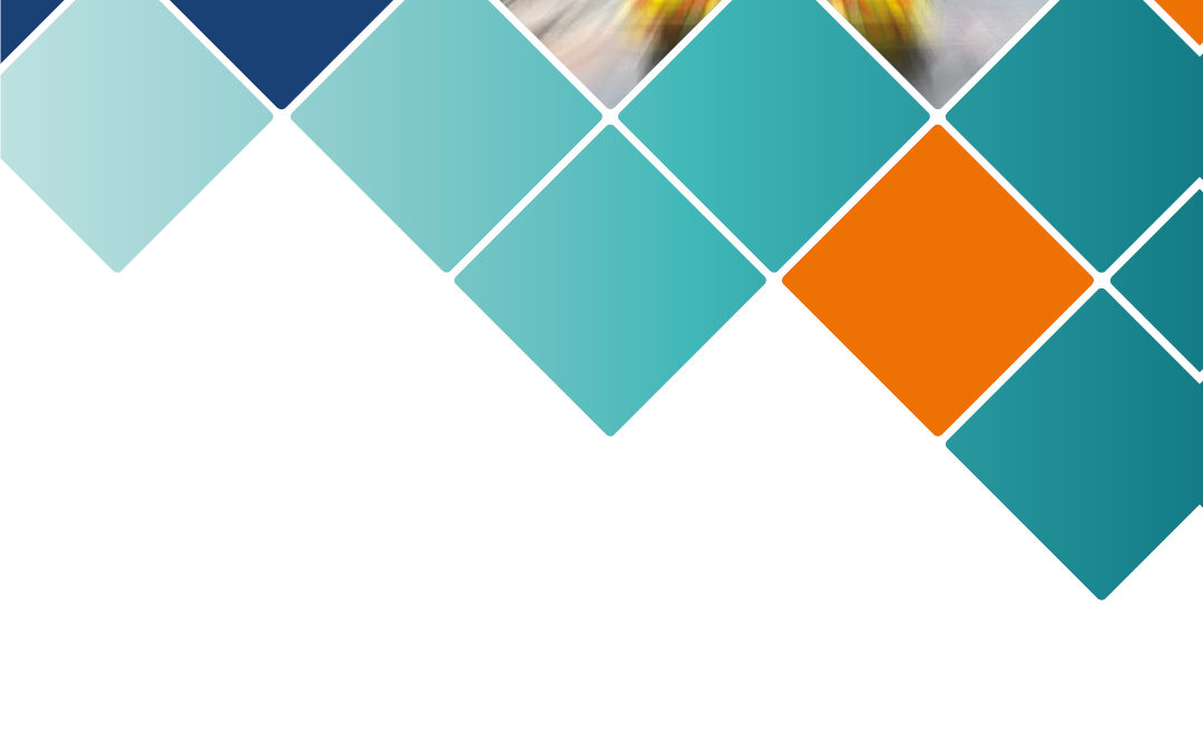 HSIB report on the transfer of critically ill adults
