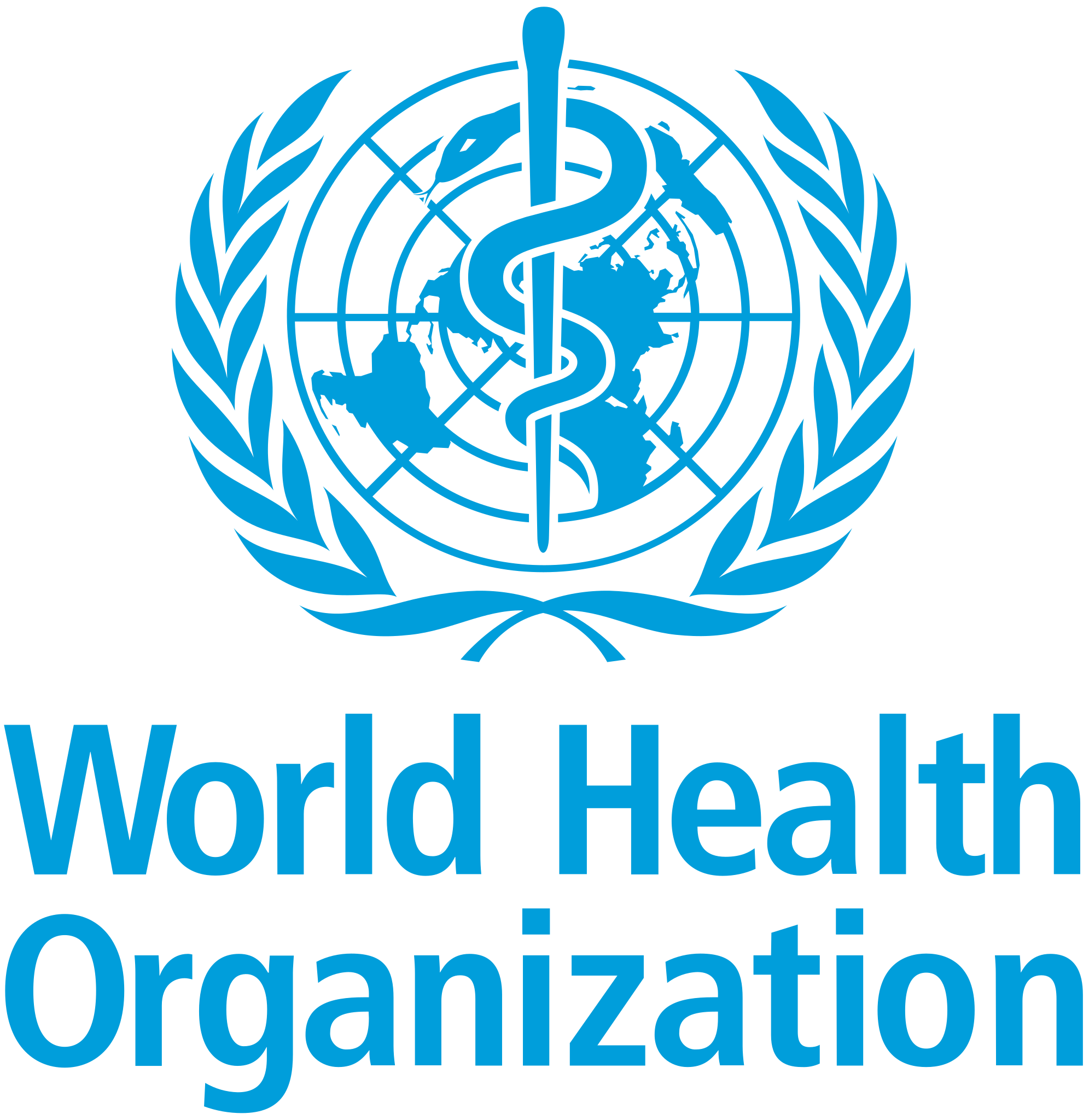 WHO Report on Global Patient Safety